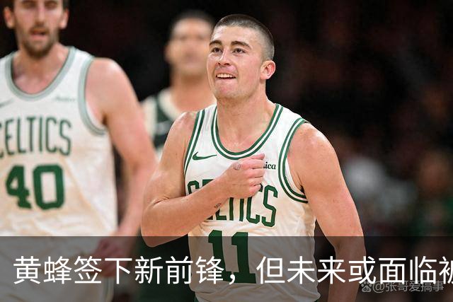 黄蜂签下新前锋，但未来或面临被裁命运？